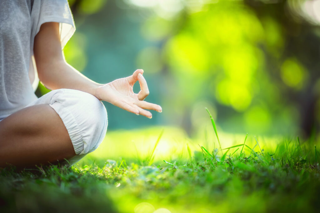 Mindfulness and Meditation Courses To Change Your Life